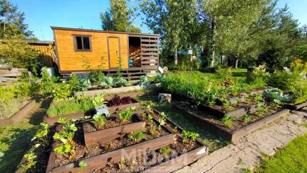 Продам дачу, Торговая зона тер, Романовка п, 30 км от города