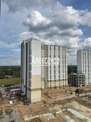 Сдам однокомнатную (1-комн.) квартиру, Пахомовская ул, 23, Санкт-Петербург г