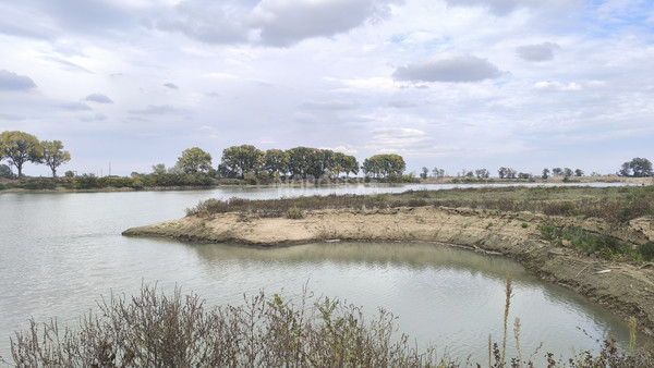 Продам участок 31,89 соток, ИЖС, Комсомольская ул, 22, Ленинский х, 0 км от города