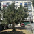 Продам двухкомнатную (2-комн.) квартиру, Мира ул, 90, Краснодар г