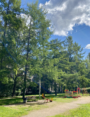 Продам трехкомнатную (3-комн.) квартиру, Карташихина ул, 19, Санкт-Петербург г