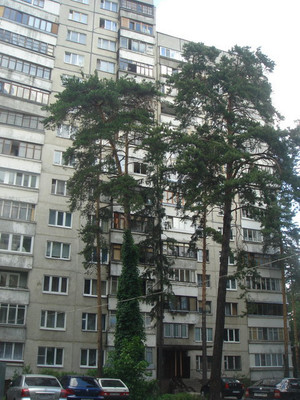 Продам двухкомнатную (2-комн.) квартиру, Амет-хан Султана ул, 7, Жуковский г
