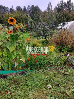 Продам участок 8 соток, Садоводство, поселок Энергетик, 114, Энергетик(п.Лебедевка) тер. СНТ, 10 км от города