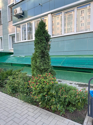 Продам однокомнатную (1-комн.) квартиру, им. краеведа Соловьёва В.А. ул, 6к4, Краснодар г