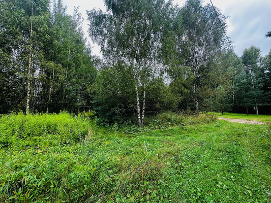 Продам участок 10 соток, ИЖС, Купанское с, 0 км от города