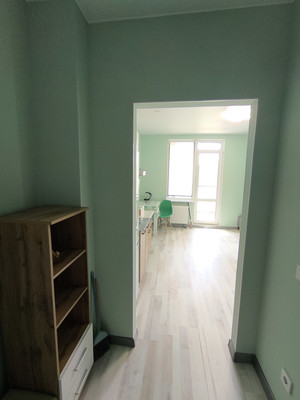 Сдам однокомнатную (1-комн.) квартиру, Старорусский пр-кт, 3к2, Шушары п