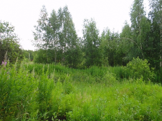 Продам участок 18 соток, Садоводство, Долгиниха д, 0 км от города