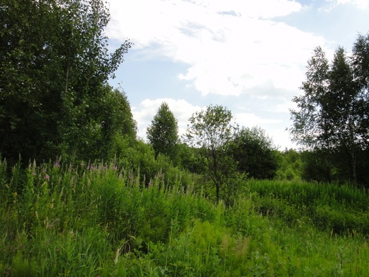 Продам участок 18 соток, Садоводство, Долгиниха д, 0 км от города