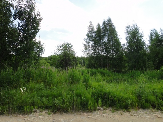 Продам участок 18 соток, Садоводство, Долгиниха д, 0 км от города