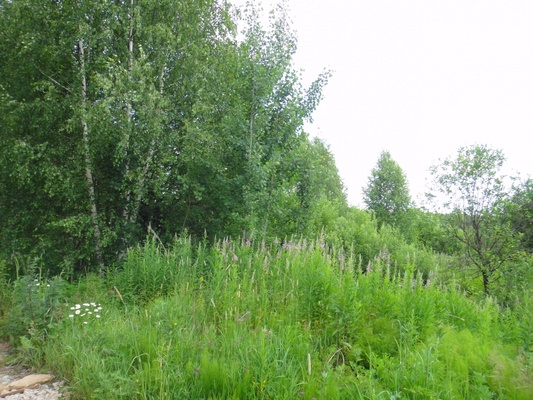 Продам участок 18 соток, Садоводство, Долгиниха д, 0 км от города