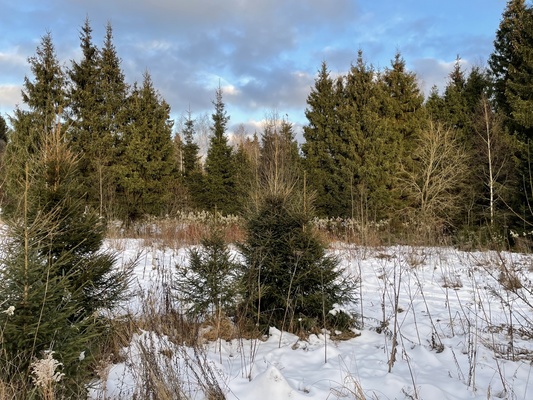 Продам участок 19 соток, ИЖС, Долгиниха д, 0 км от города