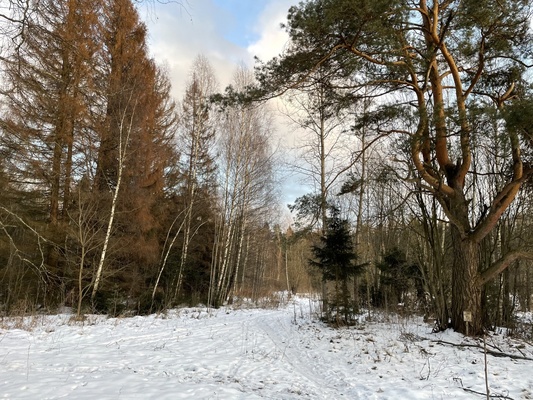 Продам участок 19 соток, ИЖС, Долгиниха д, 0 км от города