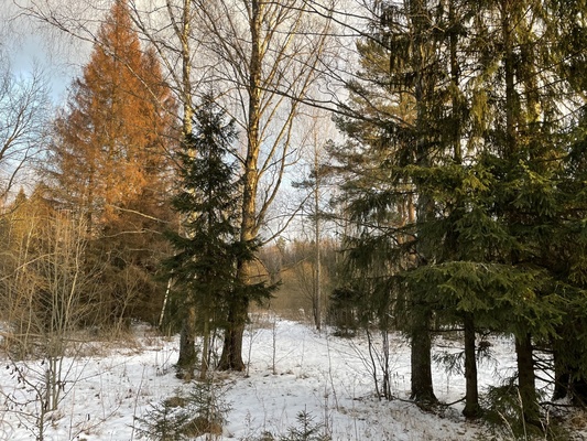 Продам участок 19 соток, ИЖС, Долгиниха д, 0 км от города