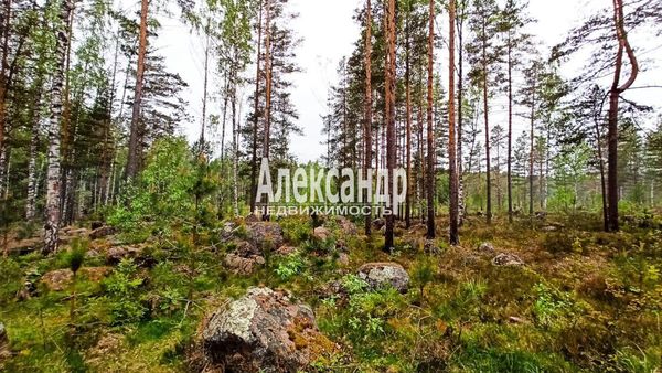Продам участок 6,4 соток, СНТ, поселок Карелия Академическая, Академическое тер. СНТ, 79 км от города