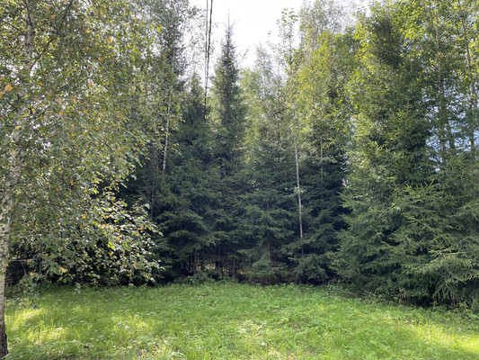 Продам участок 18 соток, Садоводство, Долгиниха д, 0 км от города