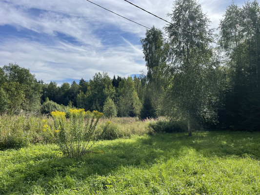 Продам участок 18 соток, Садоводство, Долгиниха д, 0 км от города