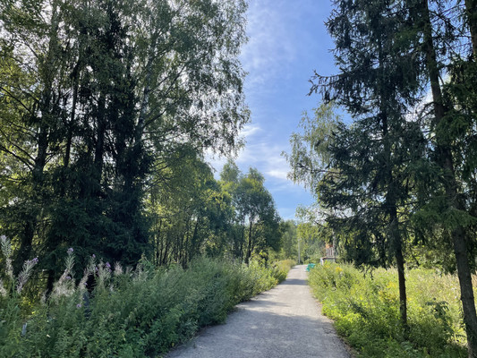 Продам участок 18 соток, Садоводство, Долгиниха д, 0 км от города