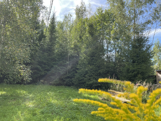 Продам участок 19 соток, ИЖС, Долгиниха д, 0 км от города