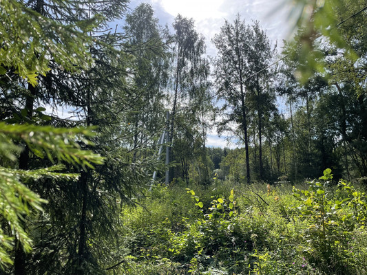 Продам участок 19 соток, ИЖС, Долгиниха д, 0 км от города