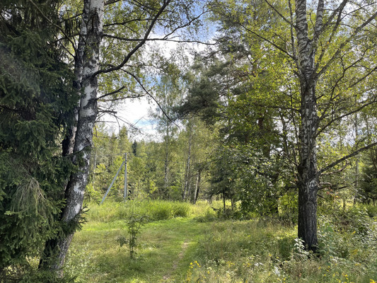 Продам участок 19 соток, ИЖС, Долгиниха д, 0 км от города