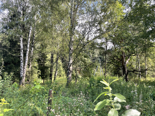 Продам участок 19 соток, ИЖС, Долгиниха д, 0 км от города