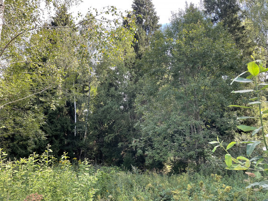 Продам участок 19 соток, ИЖС, Долгиниха д, 0 км от города