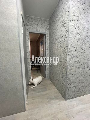 Продам трехкомнатную (3-комн.) квартиру, Лермонтовский пр-кт, 5/11, Санкт-Петербург г