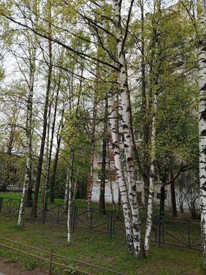 Продам двухкомнатную (2-комн.) квартиру, Пограничника Гарькавого ул, 41, Санкт-Петербург г