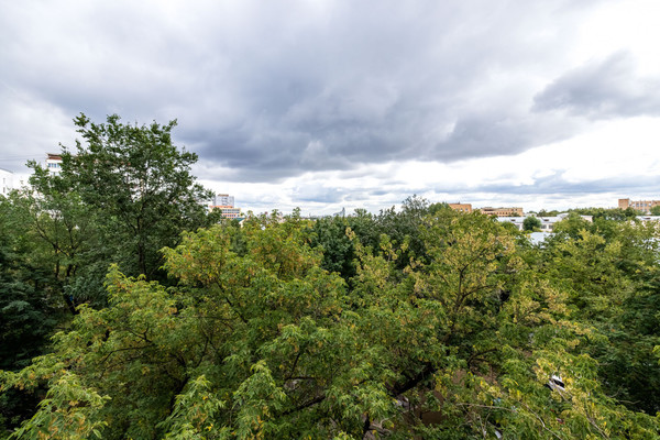 Продам двухкомнатную (2-комн.) квартиру, Мира пр-кт, 110к2, Москва г