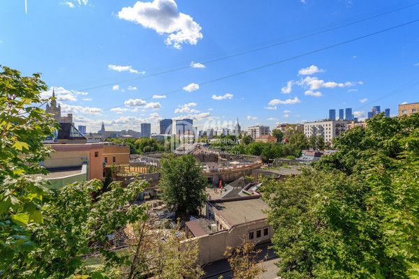 Продам однокомнатную (1-комн.) квартиру, Зоологический пер, 4-6, Москва г