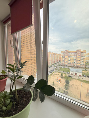 Продам однокомнатную (1-комн.) квартиру, Петрова ул, 28, Йошкар-Ола г