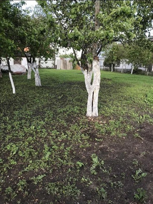 Продам участок 6 соток, Фермерское хоз., Ручеек тер. СНТ, 182, Егорьевск г, 0 км от города