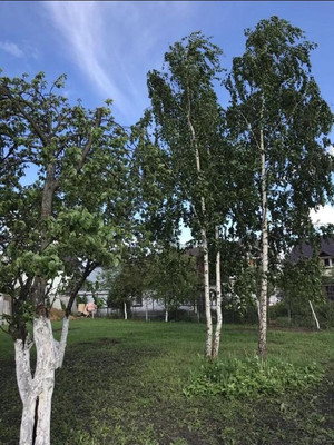 Продам участок 6 соток, Фермерское хоз., Ручеек тер. СНТ, 182, Егорьевск г, 0 км от города