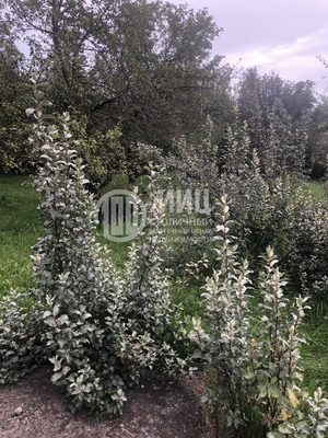 Продам дом, Сенеж мкр, 134, Редино д, 0 км от города