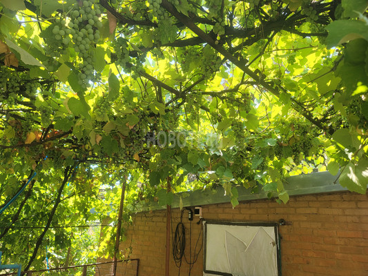 Продам дом, Комсомольская ул, 69, Челбасская ст-ца, 0 км от города