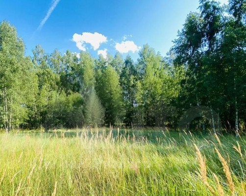 Продам участок 12 соток, ИЖС, Варские п, 0 км от города