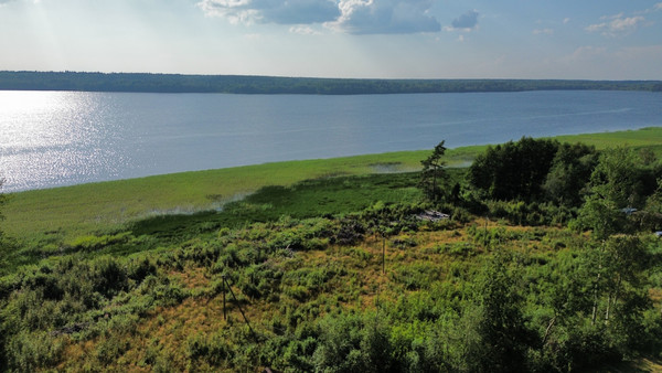 Продам участок 94,56 соток, Фермерское хоз., Мамонтовка п, 0 км от города