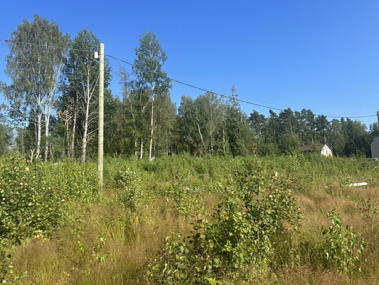 Продам участок 94,56 соток, Фермерское хоз., Мамонтовка п, 0 км от города