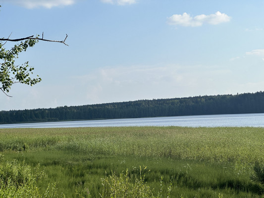 Продам участок 94,56 соток, Фермерское хоз., Мамонтовка п, 0 км от города