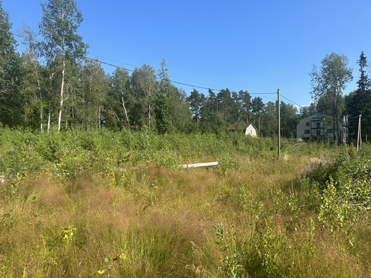 Продам участок 94,56 соток, Фермерское хоз., Мамонтовка п, 0 км от города