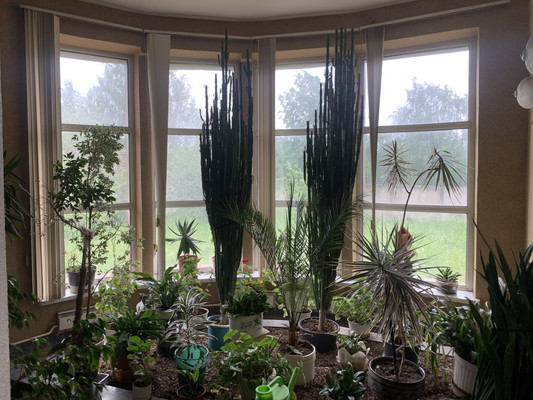 Продам коммерческое помещение 497,7 м2, Центральная ул, 44, Покровское д