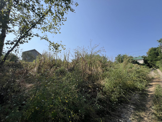 Продам участок 5,4 соток, ИЖС, Лесная ул, Осина дп, 0 км от города