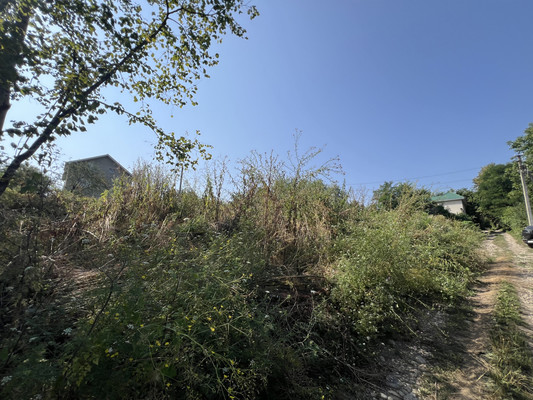 Продам участок 5,4 соток, ИЖС, Лесная ул, Осина дп, 0 км от города