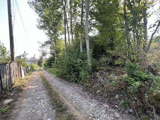 Продам участок 5,4 соток, ИЖС, Лесная ул, Осина дп, 0 км от города