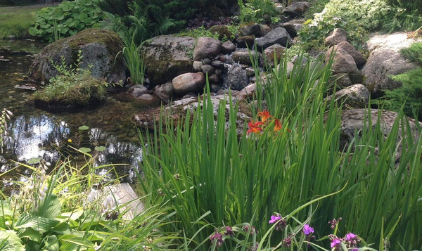 Сдам таунхаус, 1-я Дачная ул, 57, Комарово п, 0 км от города