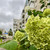 Продам однокомнатную (1-комн.) квартиру, Подольских курсантов ул, 18, Йошкар-Ола г