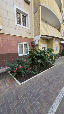 Продам однокомнатную (1-комн.) квартиру, им. Вишняковой ул, 1/23к1, Краснодар г