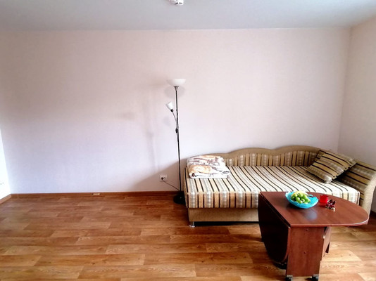 Продам однокомнатную (1-комн.) квартиру, Екатерининская ул, 10, Мурино п