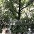 Продам трехкомнатную (3-комн.) квартиру, Рублёвское ш, 127, Москва г