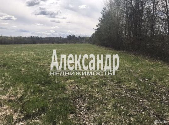 Продам участок 367 соток, Фермерское хоз., Коммунары п, 121 км от города